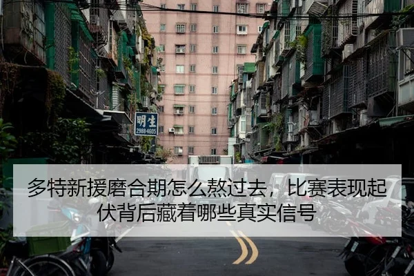 多特新援磨合期怎么熬过去，比赛表现起伏背后藏着哪些真实信号